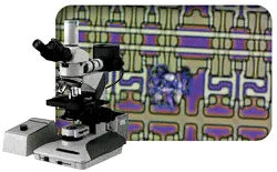 Light Microscopes
