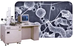Image Processing