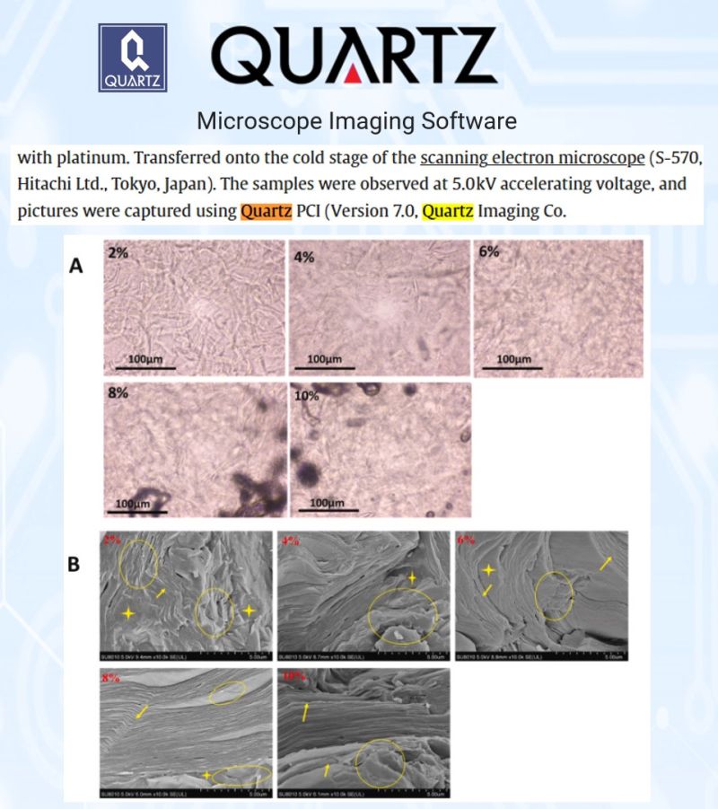 Microscopy and SEM images of α-tocopherol oleogel microstructure at increasing concentrations, captured with Quartz PCI
