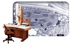 Image Annotation
